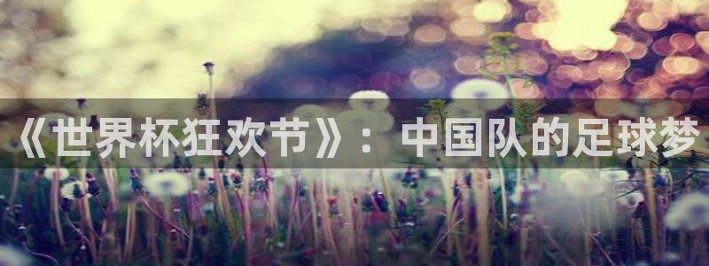 世界杯 直播：《世界杯狂欢节》：中国队的足球梦
