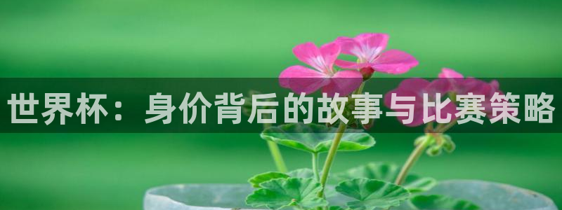 足球世界杯2026年赛程时间表：世界杯：身价背后的故事与比赛策略