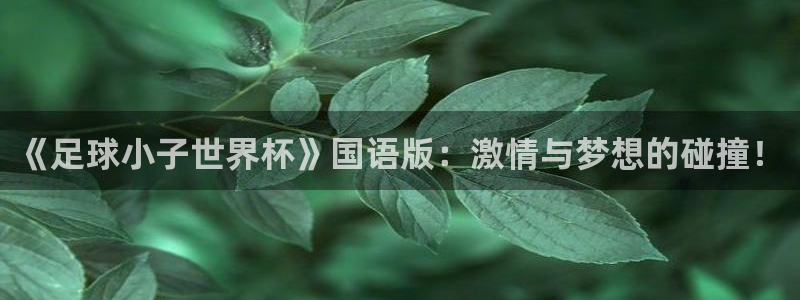 世界杯在线直播入口：《足球小子世界杯》国语版：激情与梦想的碰撞！