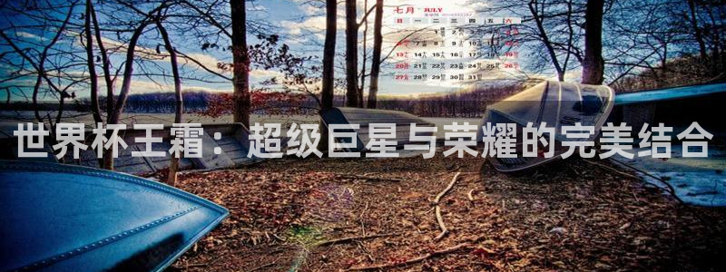 世界杯亚洲区预选赛：世界杯王霜：超级巨星与荣耀的完美结合