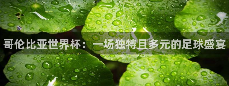 2026世界杯赛程：哥伦比亚世界杯：一场独特且多元的足球盛宴