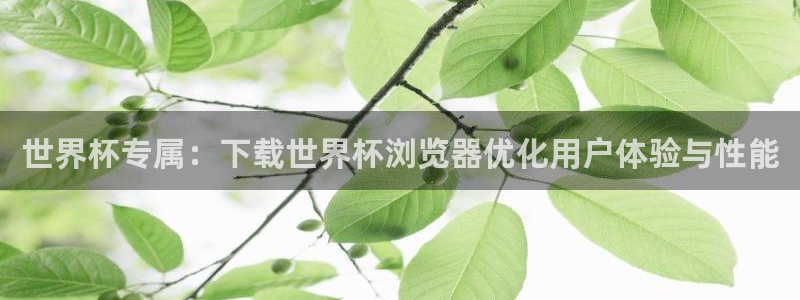世界杯赛程表：世界杯专属：下载世界杯浏览器优化用户体验与性能