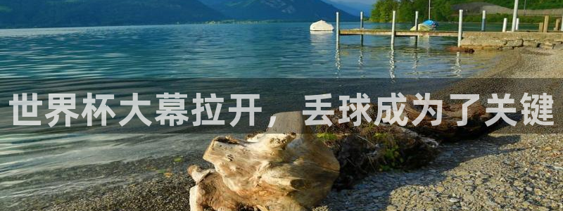 世界杯预选赛规则：世界杯大幕拉开，丢球成为了关键