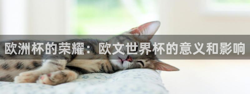 2026世界杯官网：欧洲杯的荣耀：欧文世界杯的意义和影响