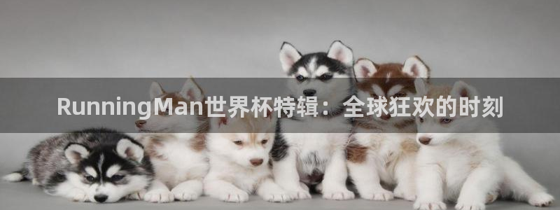 世界杯女足直播：RunningMan世界杯特辑：全球狂欢的时刻