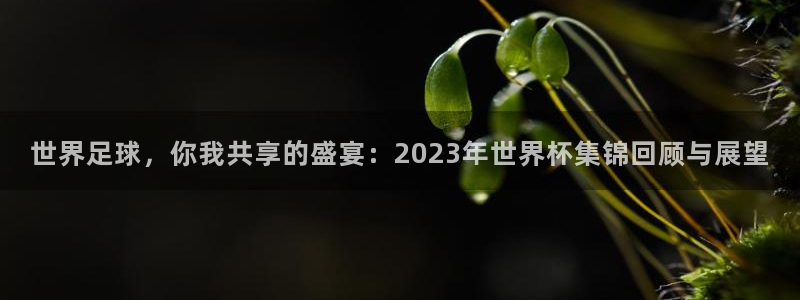 2026年世界杯对阵图：世界足球，你我共享的盛宴：2023年世界杯集锦回顾与展望