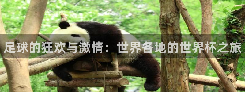 2026世界杯赛程：足球的狂欢与激情：世界各地的世界杯之旅