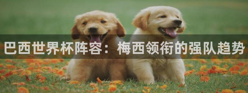 2026足球世界杯赛程：巴西世界杯阵容：梅西领衔的强队趋势