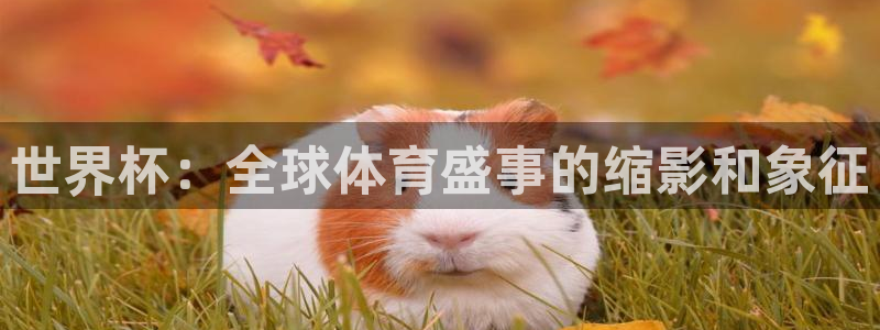 世界杯 中国：世界杯：全球体育盛事的缩影和象征